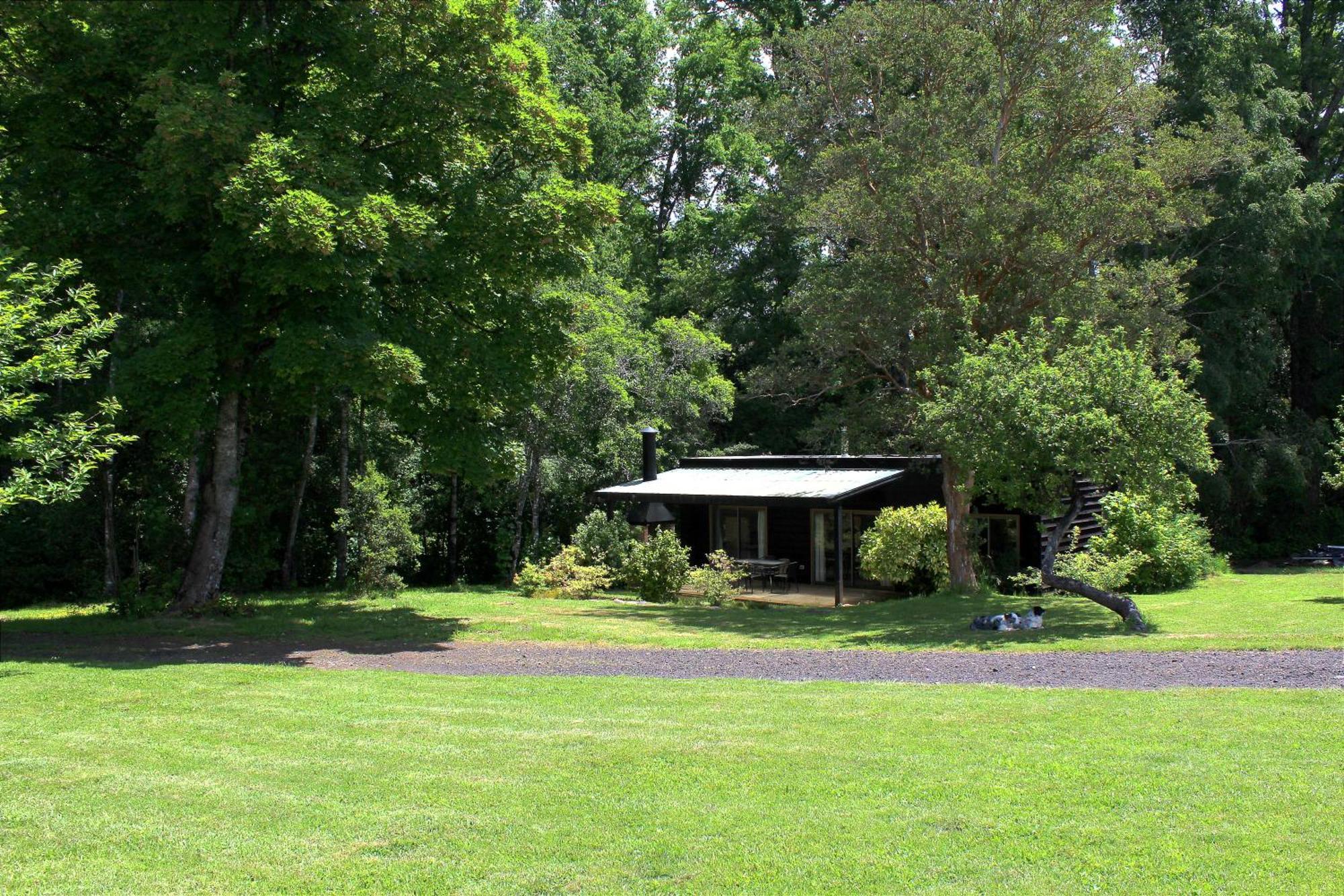 Cabanas Am Berg Pucon Exterior photo