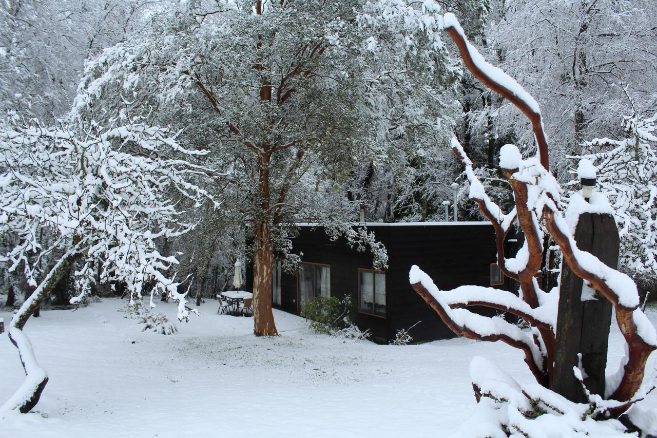 Cabanas Am Berg Pucon Exterior photo